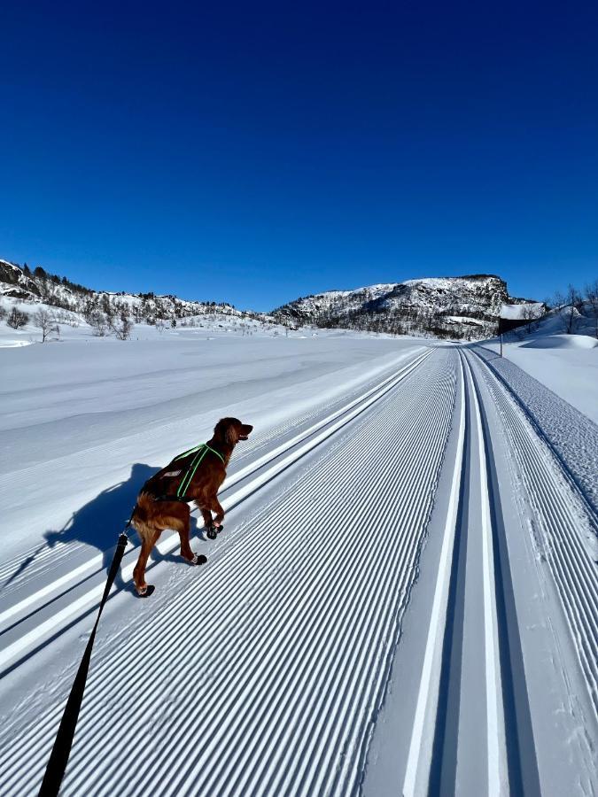 Flott Leilighet Pa Haugen I Sirdal Tjorhom Exteriér fotografie