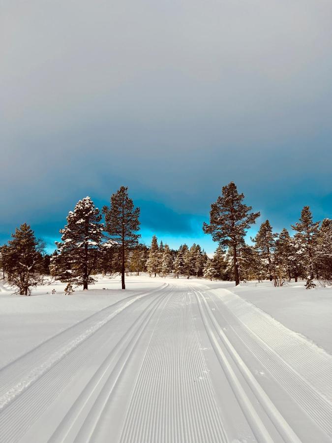 Flott Leilighet Pa Haugen I Sirdal Tjorhom Exteriér fotografie